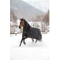P-88536_Rel P-88536 -Miljø -22 Irish Turnout + Neck Black 536 P8398.jpg