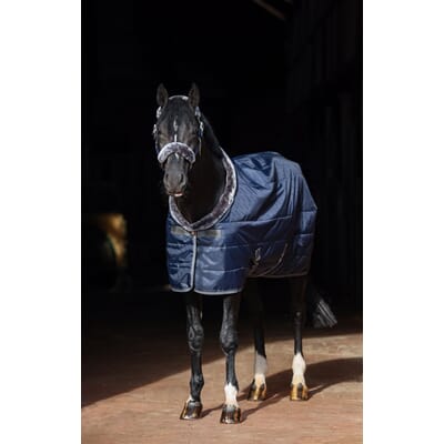 P-88457 P-88457 -Miljø Show-Line Stable Rug 457 P4679.jpg