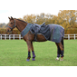 P-303310_Rel P-303310 i lyset pony.png