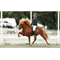 P-66109100_Rel 2024-07-12 14.09.28 5019_hd-2.png