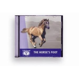 CD The Horses Foot
