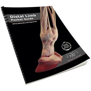 Bok Distal Limb Pocket Guide