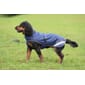 P-88283_Rel P-88283 -Miljø Bucas Therapy Dog Rug 283 289 P1042.jpg
