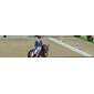 P-8103013110_Rel Dressur.png