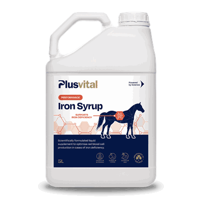 23105-5 PV105-5BL Iron Syrup Packshot 5L.png