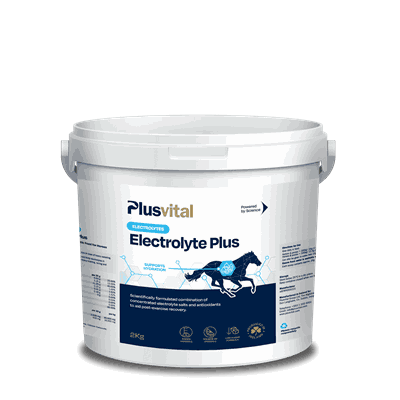 23402-2 PV402-2BL Electrolyte Plus Packshot 2kg.png