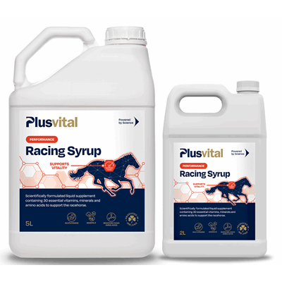P-23101-2 Racing Syrup.png