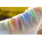 409962_Rel LUCK282-lucky-horse-unicorn-rainbow-coloured-chalk.png