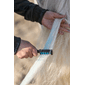 409962_Rel LUCK285-lucky-horse-unicorn-rainbow-coloured-chalk.png