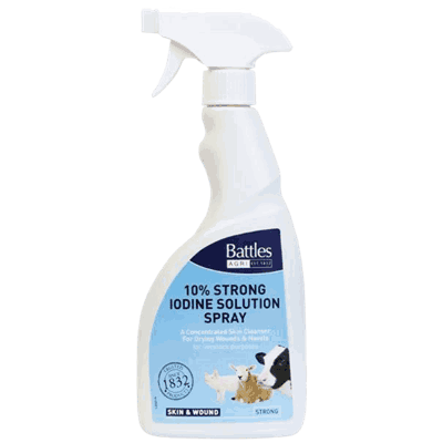 226015 226015 - Battles 10% Strong Iodine Solution Spray.png